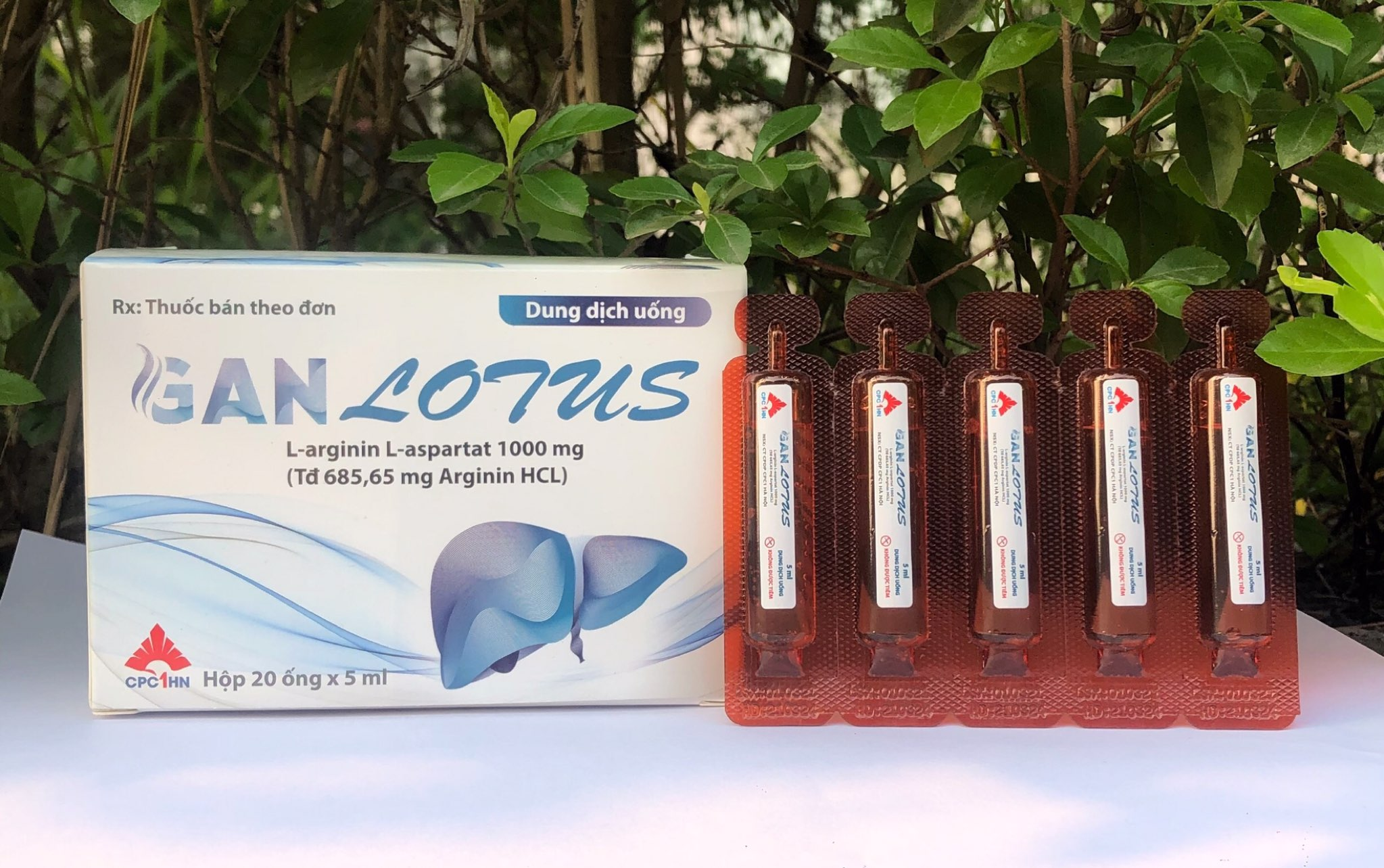 Ganlotus