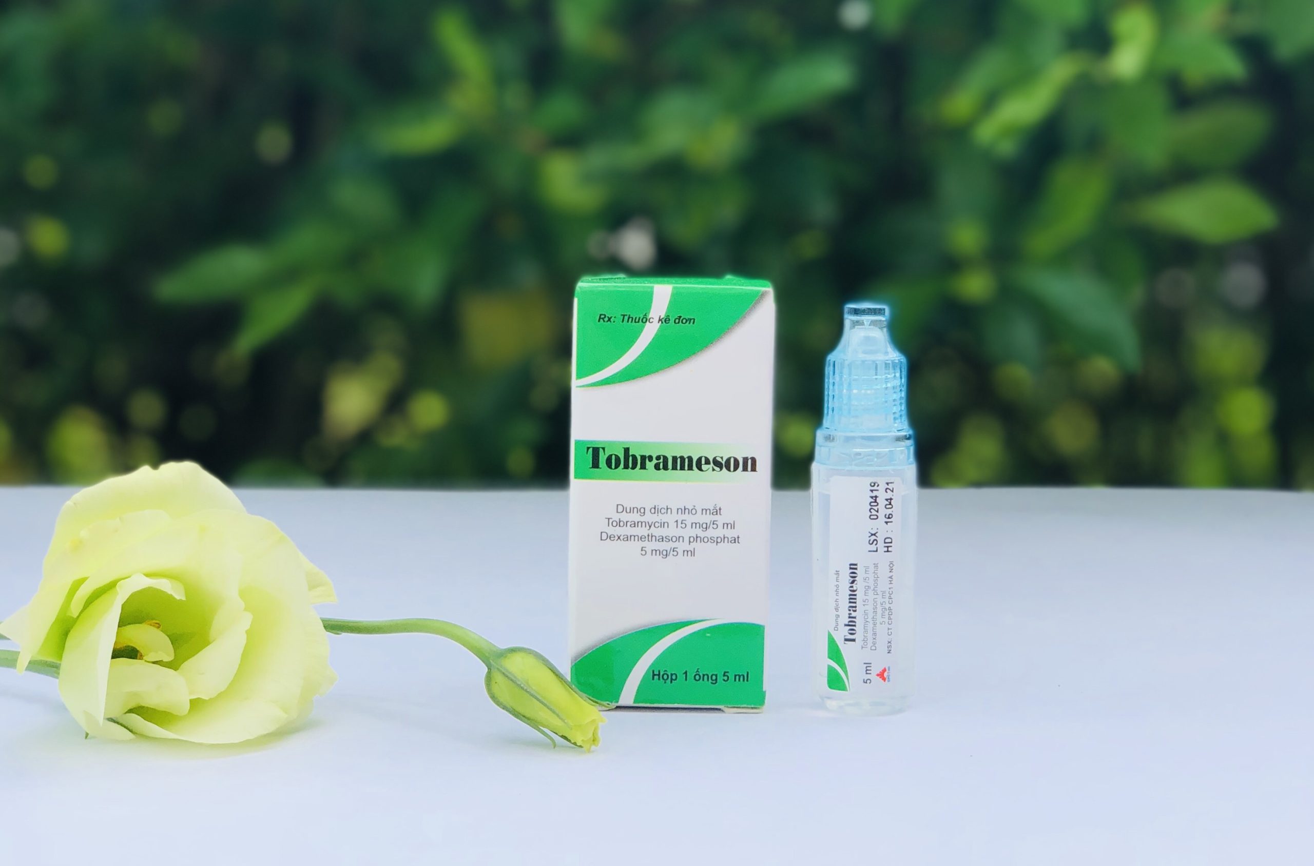 Tobrameson - Hộp 1 ống 5ml