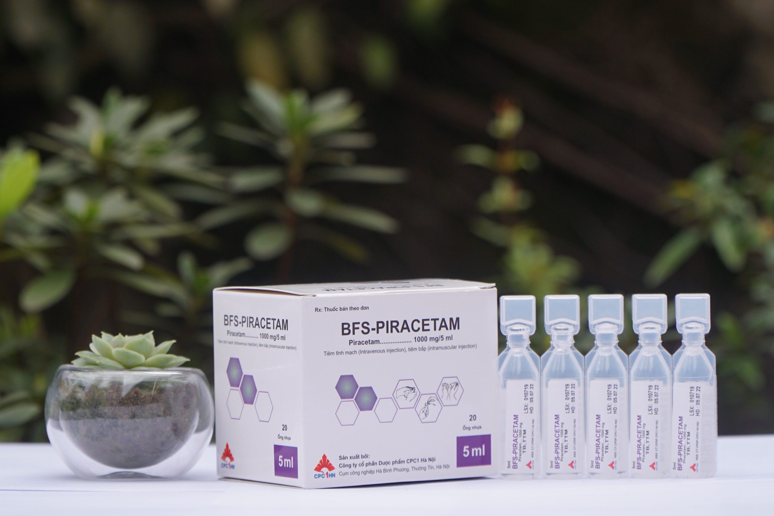 BFS-Piracetam