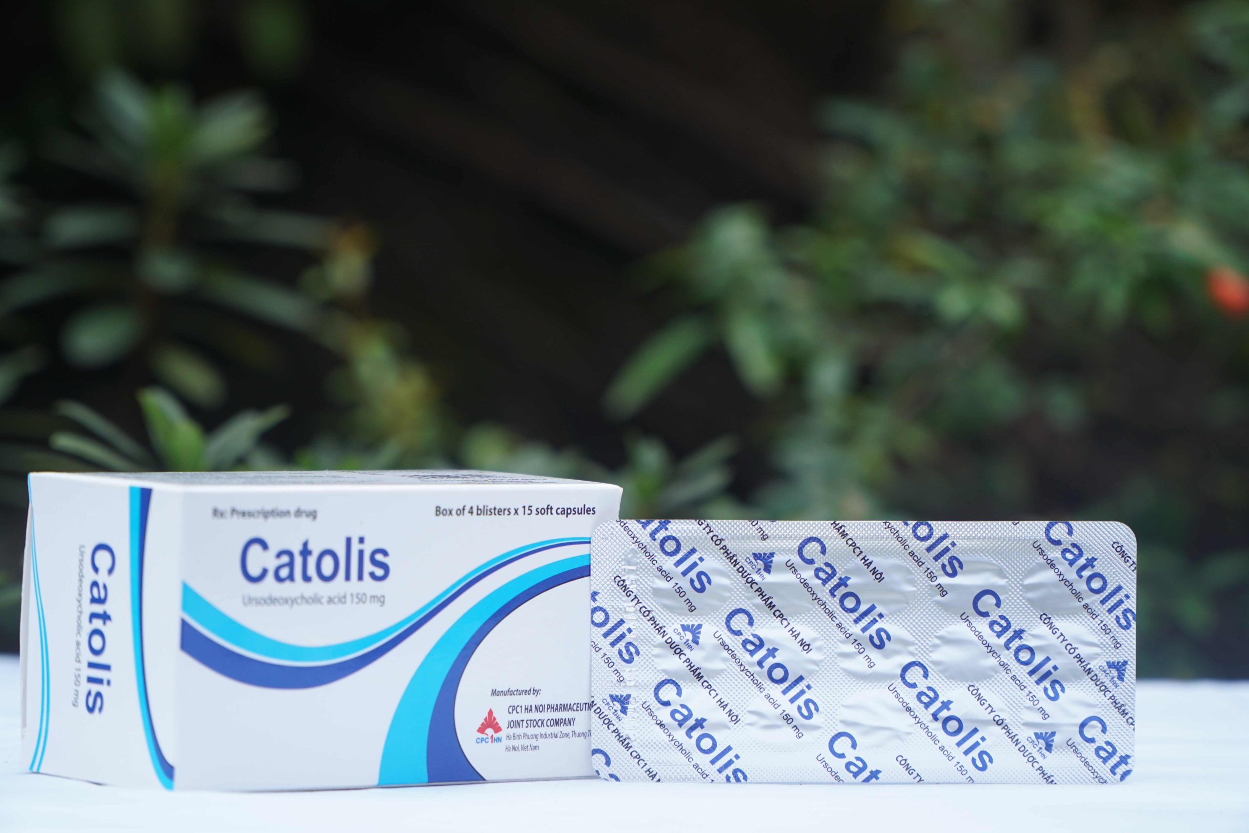 Catolis