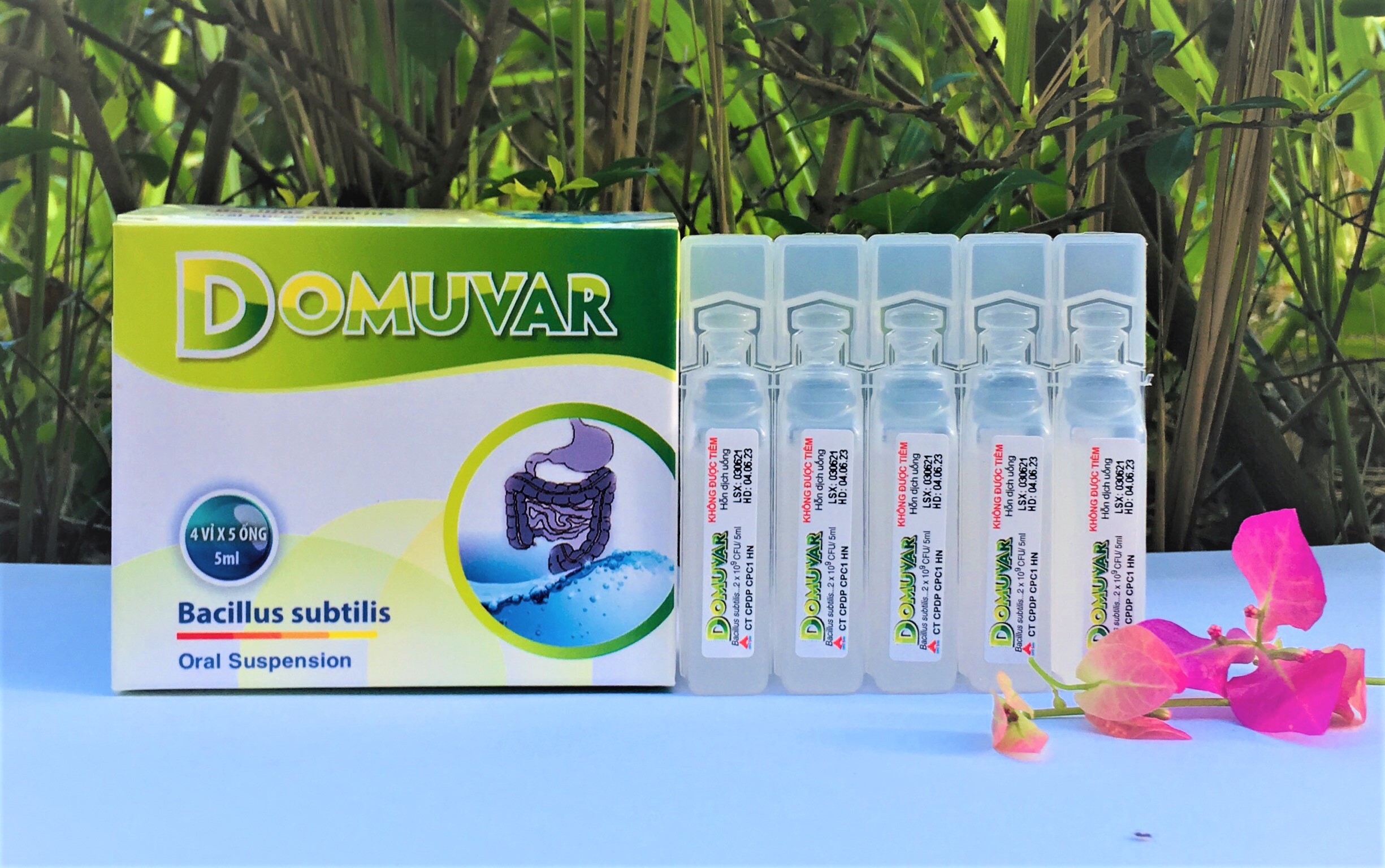 Domuvar
