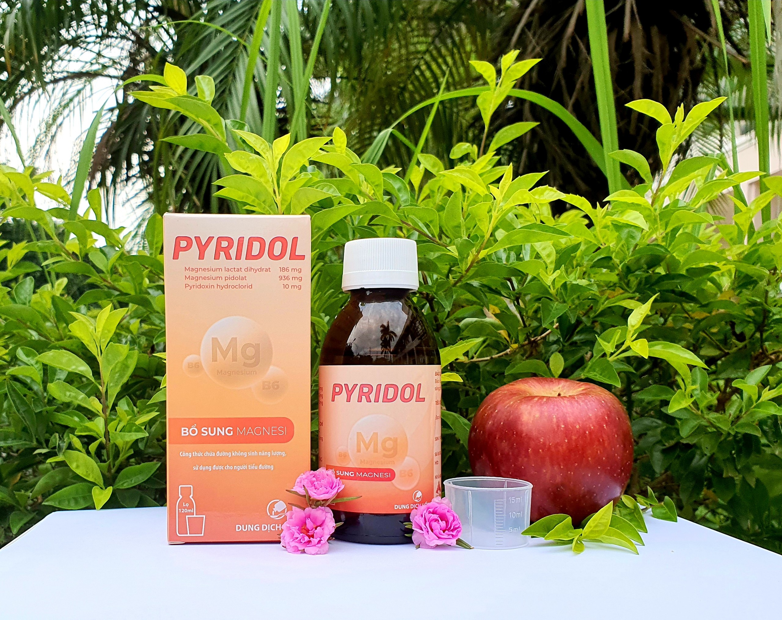 Pyridol lọ 120ml